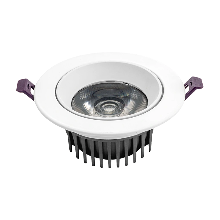 Jak velká čočka downlight předefinuje pohodlí a účinnost v moderním světelném designu